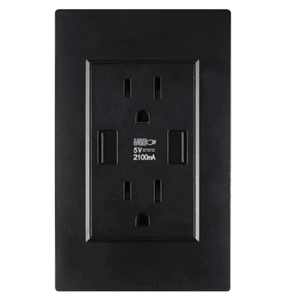 Dual USB Wall Outlet Port 15A Power Socket Charger AC Receptacle Plate Panel 110